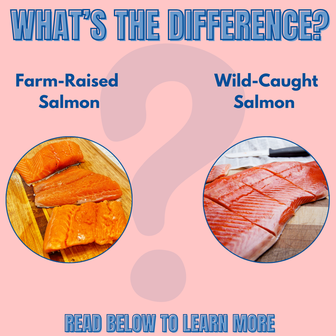 Farm-Raised Salmon vs. Wild-Caught Salmon